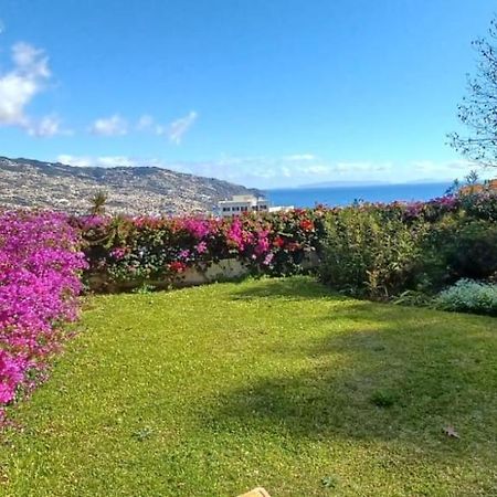 Belvedere Boutique - Adults Only Funchal  Exteriör bild