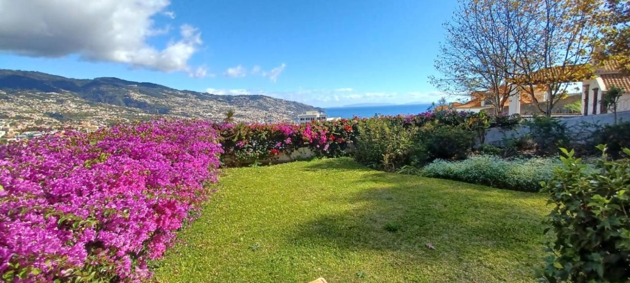 Belvedere Boutique - Adults Only Funchal  Exteriör bild